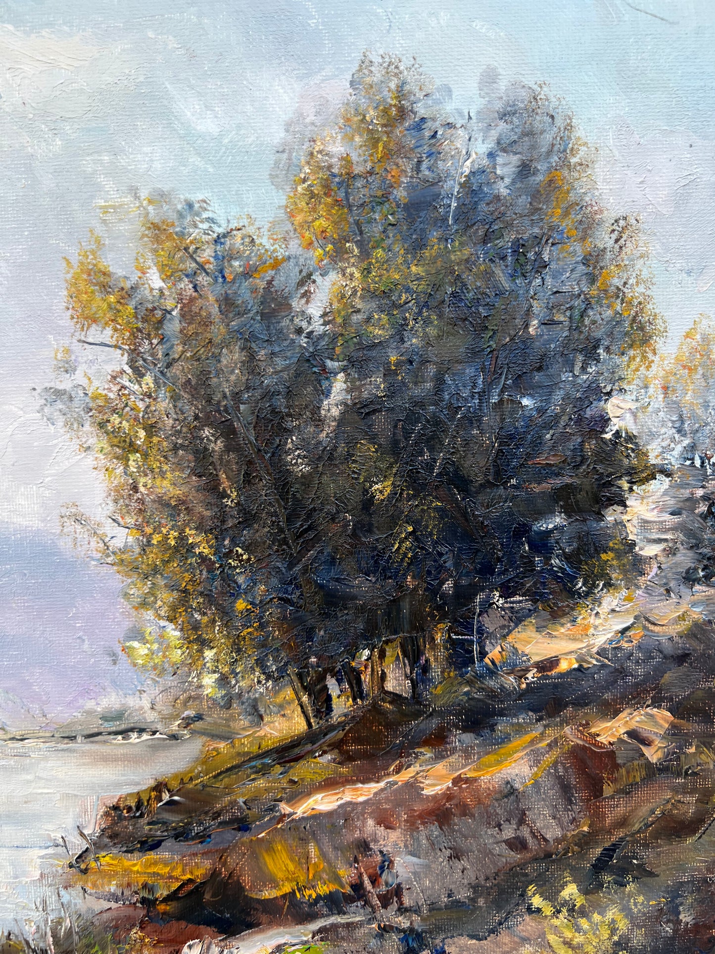 Trees by the Creek | 16”x12”